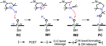 The proposed mechanism of ring contraction based on DFT results