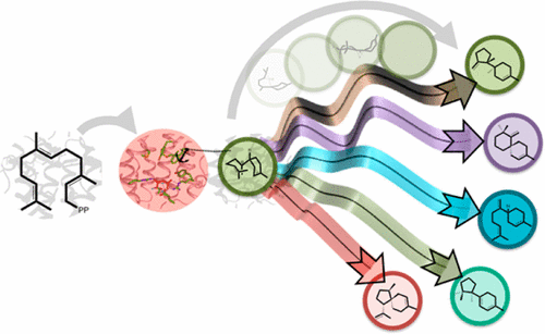 trichodiene-synthase