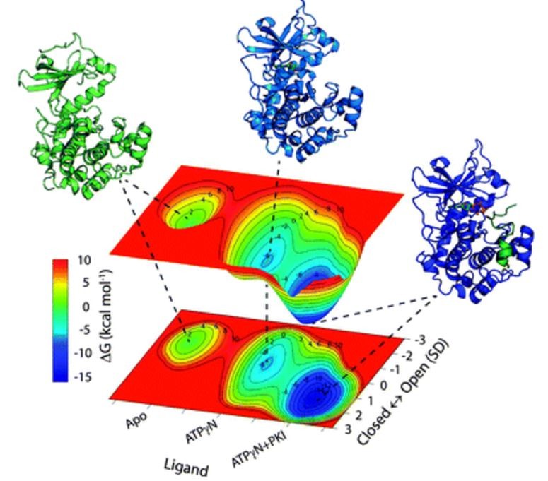 free energy landscape-nmr paper